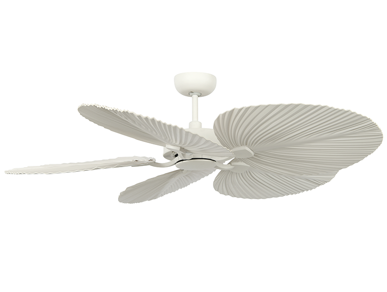 big-1-04-2025-13-39-67ebc2689d906